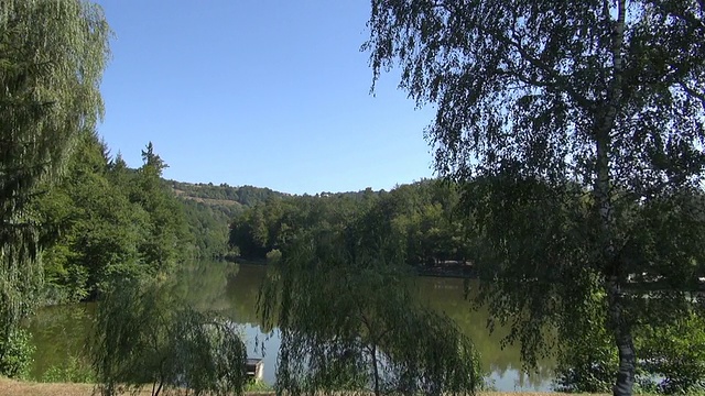 飞天投树、湖、池塘为背景视频下载