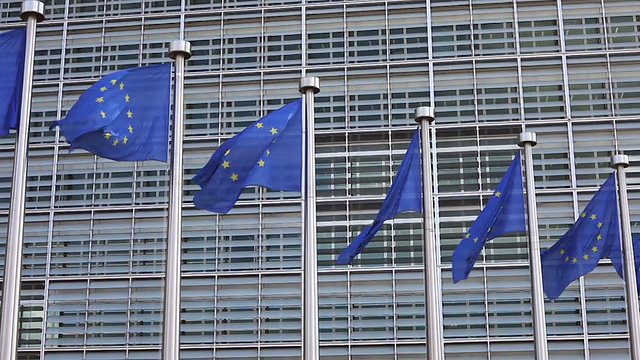 欧洲旗帜视频素材