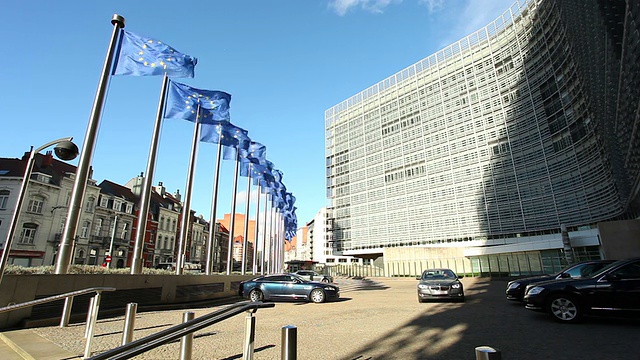 欧洲旗帜视频素材