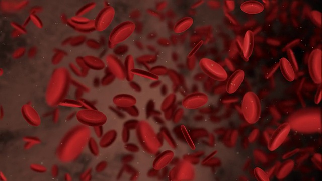 红细胞视频下载