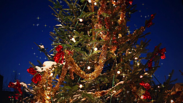 圣诞树在夜里视频素材