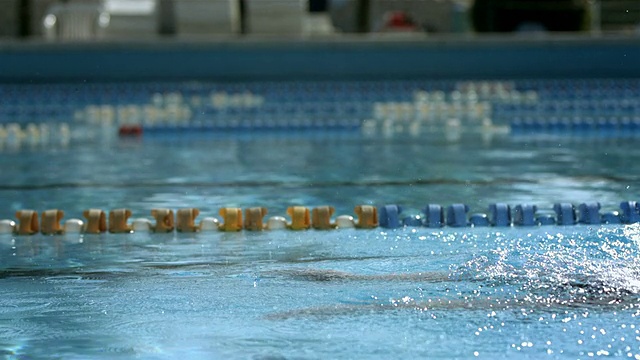 高清慢动作:男子游泳运动员表演蛙泳视频素材