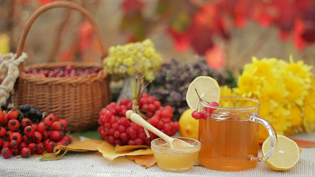 流感季节的山白蜡、荚蒾、柠檬、草药、茶、蜂蜜视频素材