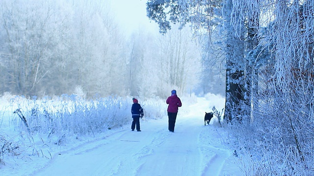 母亲和儿子在冬季步行- HD视频下载