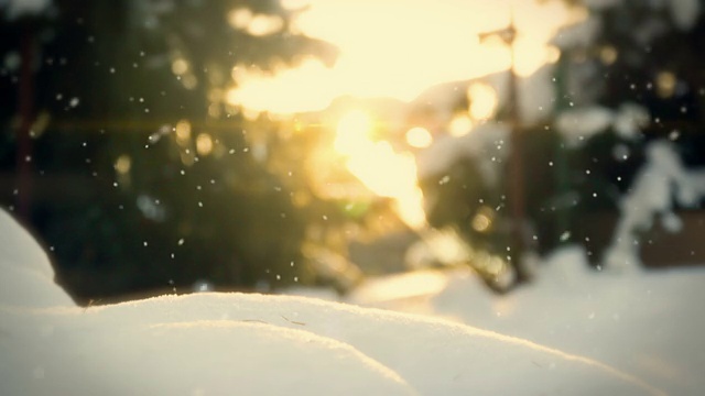雪在花园的循环视频下载