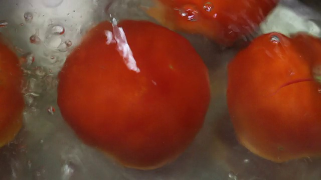用锅煮番茄视频下载