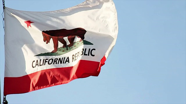 微风中飘扬的加州旗视频下载