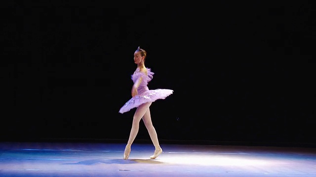 芭蕾舞的艺术视频素材