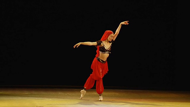 芭蕾舞的艺术视频素材