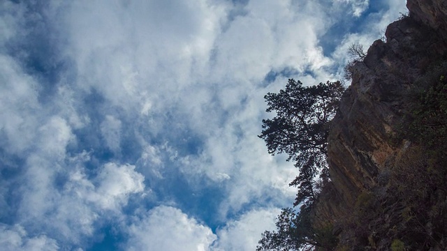 岩石山坡上的树与过往的云视频素材