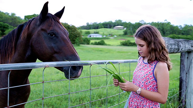十几岁的女孩拍过农场的篱笆的马视频素材