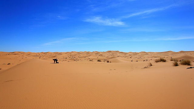 迷失的人孤独和绝望的沙漠，高清视频视频素材