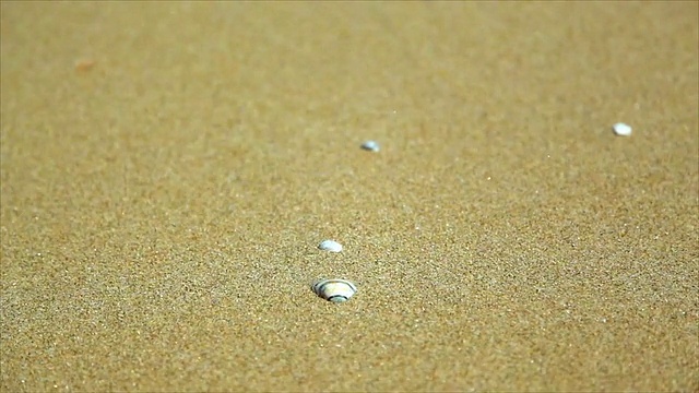 在一个刮风的日子沙滩上的沙子的特写镜头视频下载