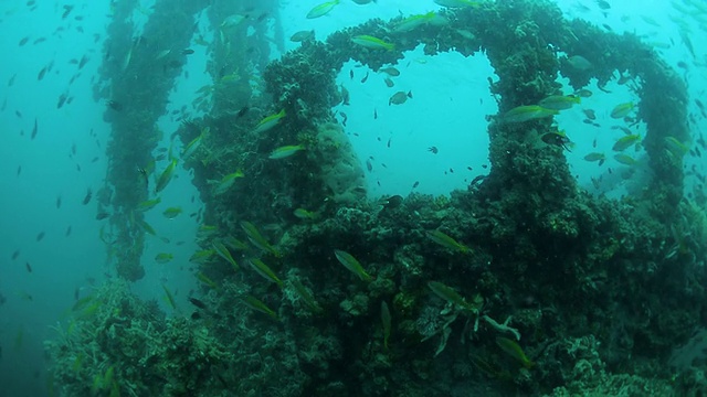 水下沉船视频素材