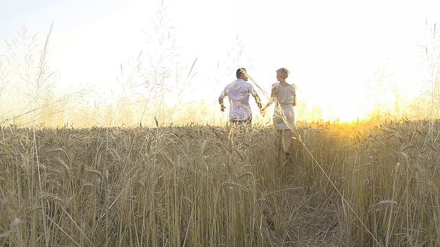 HD超级慢莫:幸福的夫妇跑进小麦视频素材