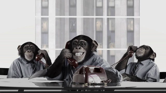 猴子业务团队视频素材