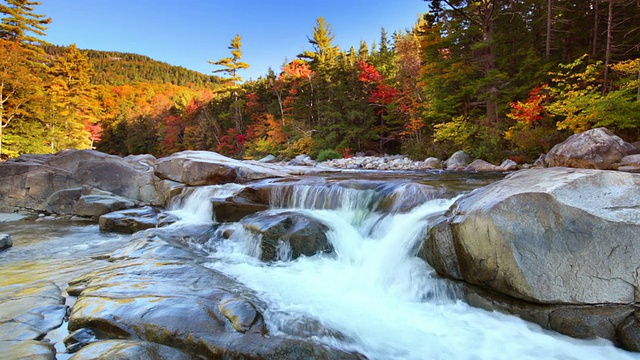河流通过秋天的树叶，斯威夫特河下游瀑布，新罕布什尔州，美国视频下载