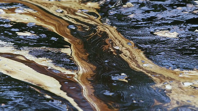 海湾石油泄漏视频素材