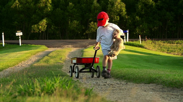小男孩开着红色的马车，在乡间小路上视频素材