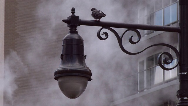 烟囱冒出的蒸汽遮住了灯杆上的鸽子视频素材