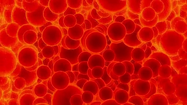 动脉中的血细胞视频素材