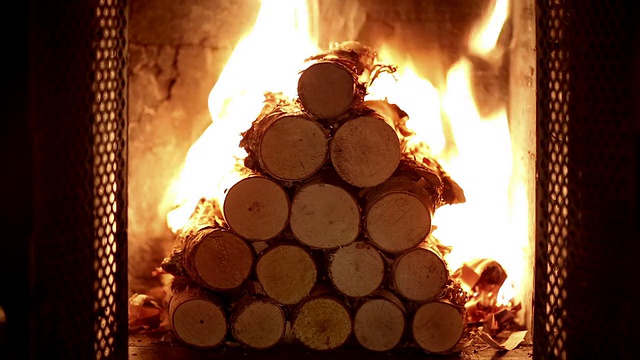 燃烧的木头视频下载