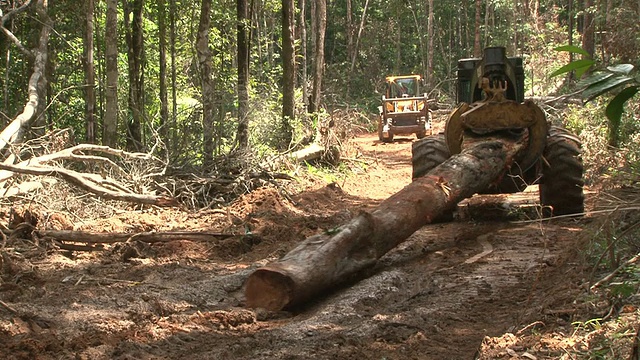 亚马逊雨林的森林砍伐视频下载