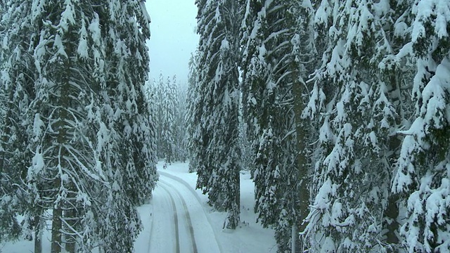 航拍积雪的道路被树木包围视频素材