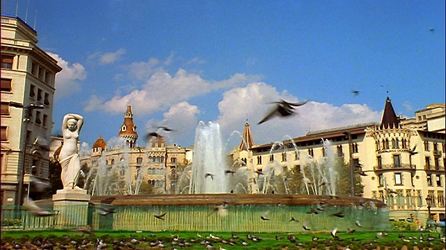 西班牙巴塞罗那加泰罗尼亚广场喷泉附近的慢镜头鸟类飞过镜头视频素材