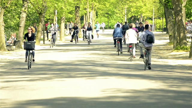 阿姆斯特丹的Vondelpark和骑车人视频素材