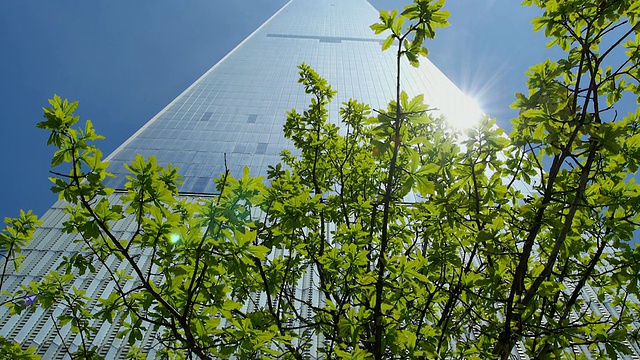 TU的摄像机在自由塔的窗户上捕捉到新鲜的绿树和阳光的反射。视频素材