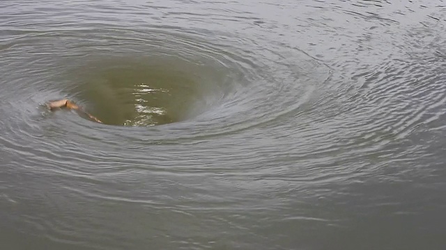 水的洞。视频下载