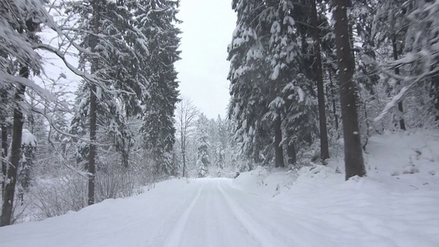 开车穿过积雪的森林视频素材