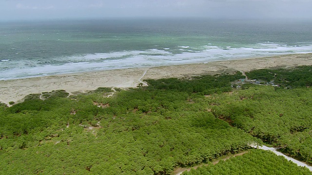 海岸和茂密的森林鸟瞰图，Les Landes / Aquitaine，法国视频下载