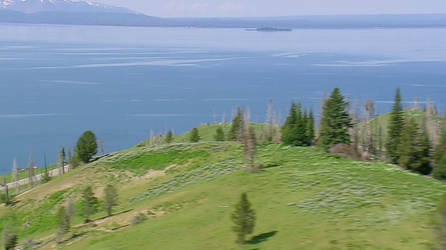 黄石湖和折断的树的WS鸟瞰图/怀俄明州，美国视频下载