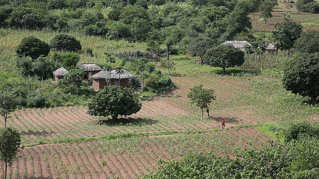 坦桑尼亚维多利亚湖姆万扎附近的一个平静的东非村庄视频下载
