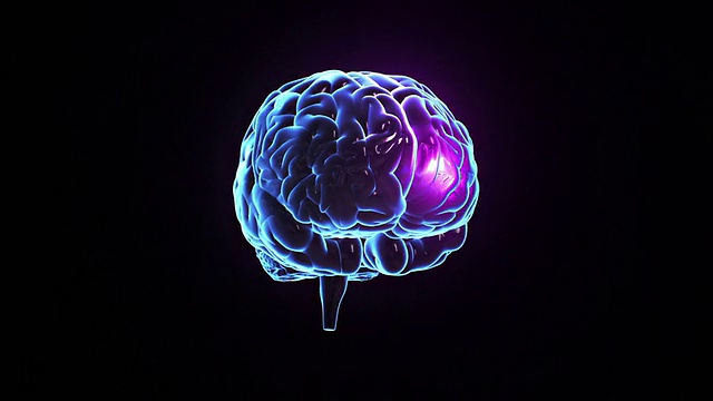 有神经冲动的人类大脑。旋转。Loopable。蓝色的。视频素材