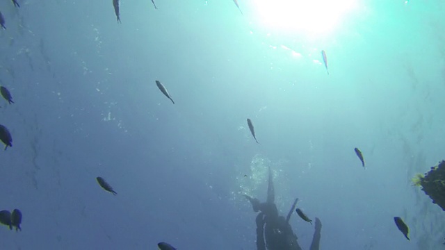自由潜水员在深渊中下沉视频素材