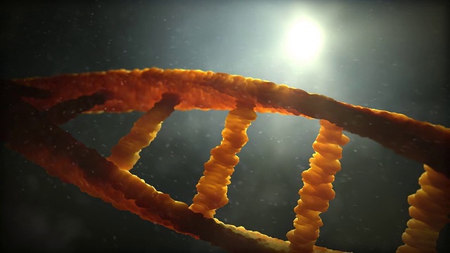 DNA螺旋视频下载
