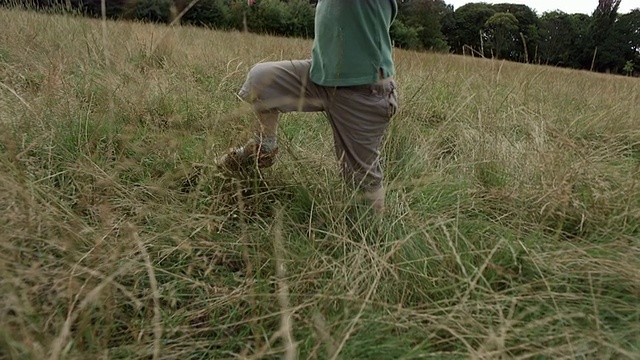 MS TS SLO MO男孩跑步和跌落穿过长草地的观点视频素材