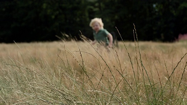 潘思龙女士拍摄的男孩在草地上玩耍视频素材
