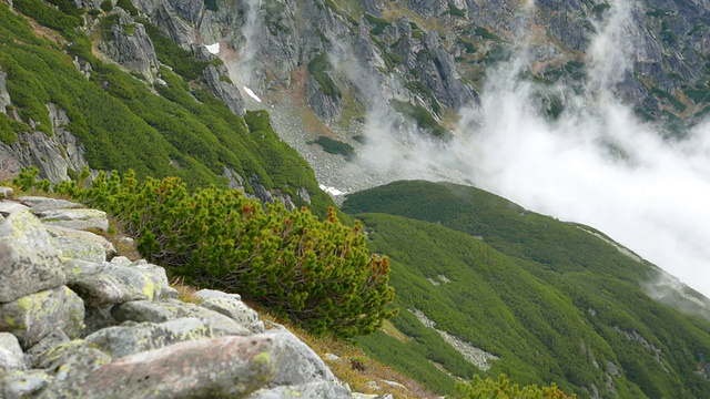 Tatra山上的风景视频下载