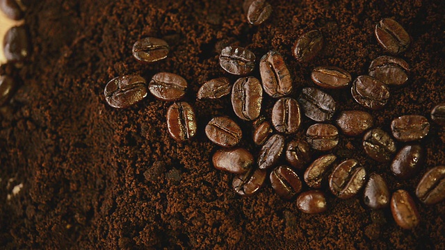 咖啡渣上的咖啡豆，淘金视频下载