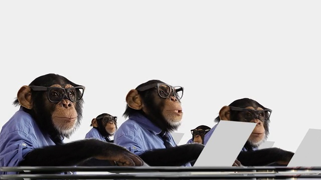 猴子网络团队视频素材