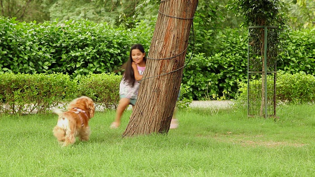 两个女孩和她的狗在印度德里的公园里玩耍视频素材