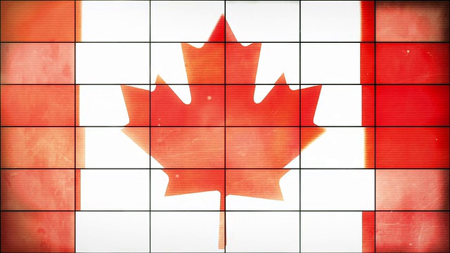加拿大国旗-网格面板环(全高清)视频下载