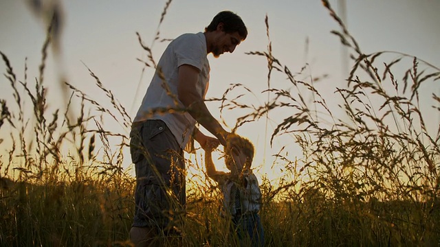 SLO MO父亲和他的儿子在一个草地亲密视频素材