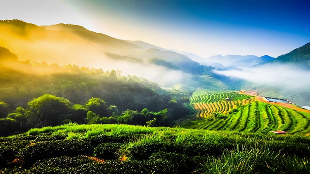 美丽的阳光在朦胧的早晨在泰国北部的山脉视频素材