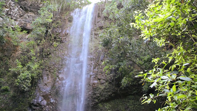 母亲和孩子们观看和享受秘密瀑布/怀鲁阿，考艾岛，夏威夷，美国视频下载