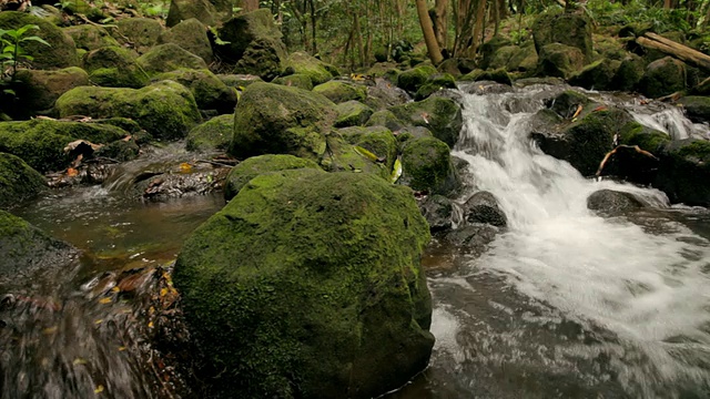 CU PAN拍摄的溪流和苔藓覆盖的岩石/ Wailua，考艾岛，夏威夷，美国视频下载
